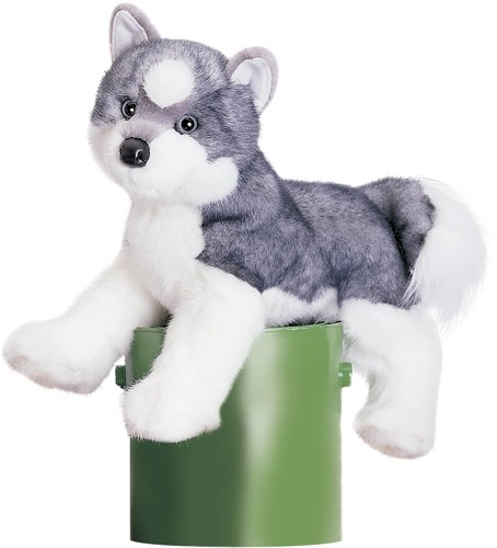 Douglas toys sasha - sasha, husky