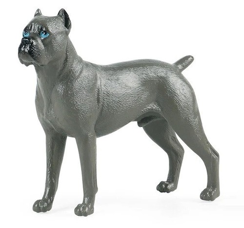 Cane corso animale - corso,