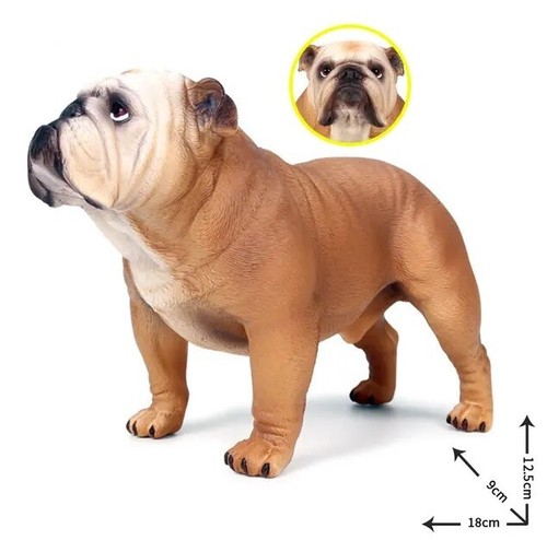 Bulldog cane animale