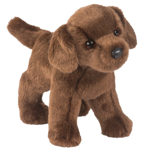 Douglas tucker chocolate lab - douglas,