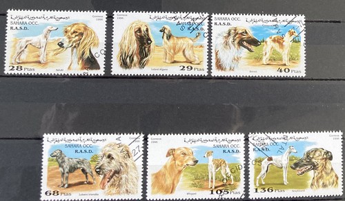 Sahara occidentale 1996 cani - occidentale,