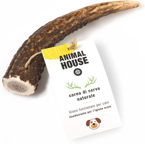 Animal house corna di - house, cervo