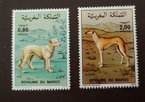Set cani fauna selvatica 1984 - fauna,