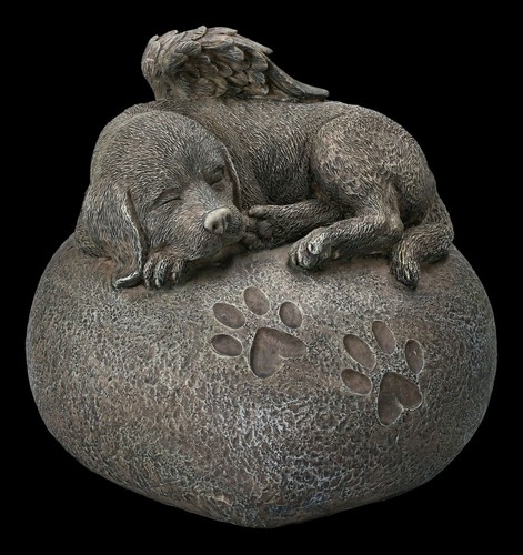 Urna animale cani - urna, in