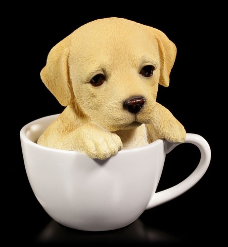 Cani figura labrador - -,