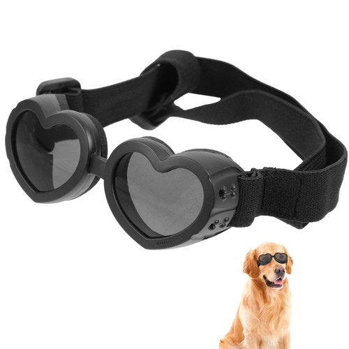 Cani accessori occhiali - ,