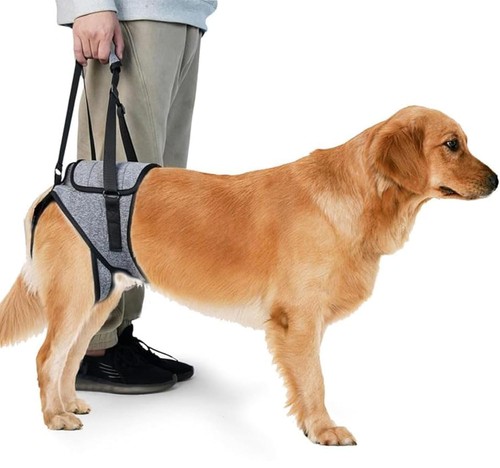 Imbracatura sollevamento cani - imbracatura,