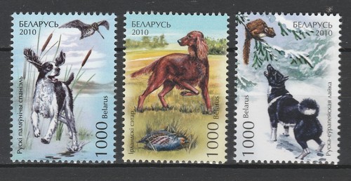 Bielorussia 2010 animali - 2010,