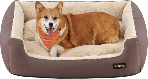 Cuccia cane interno - cane, interno,
