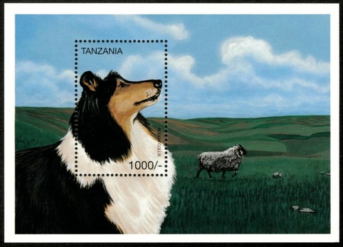 Tanzania 1996 rough collie - 1996,