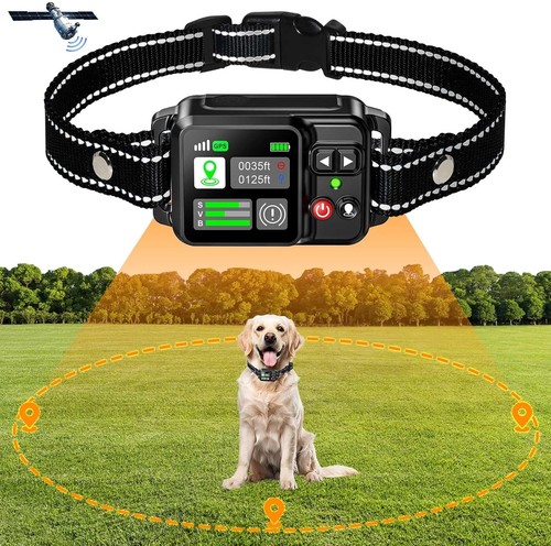 Collare gps con recinzione - collare,