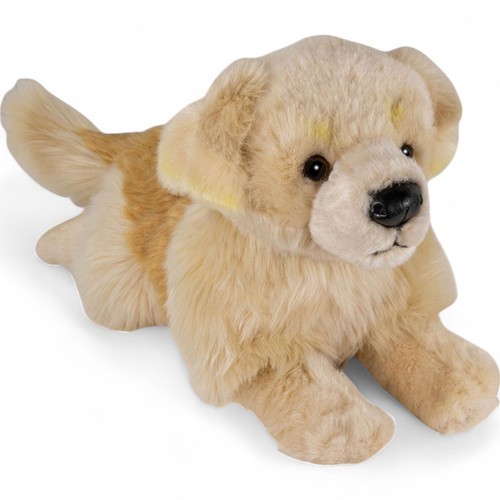 Carl dick golden retriever - golden,