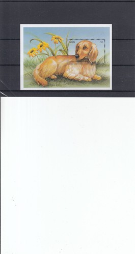 Nevis postfr cani - nevis,