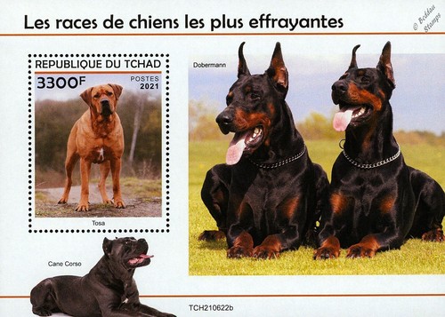 Scariest dogs - scariest,