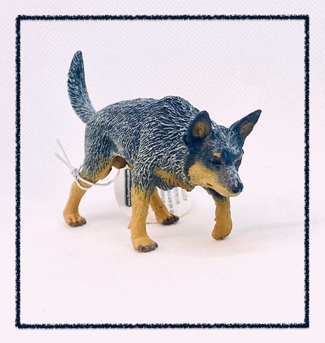 Collecta cane bovino - collecta,