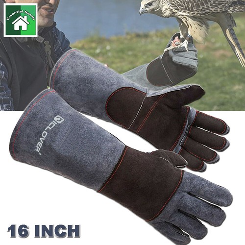Guanti manipolazione animali