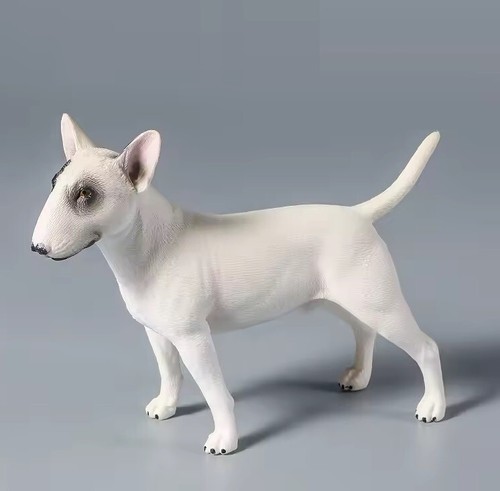 Bull terrier cane - bull,