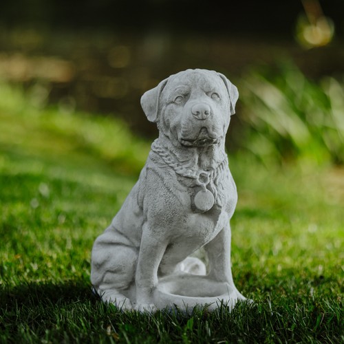 Statua pietra cane - pietra,