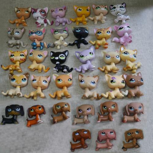 Pezzi lotto littlest pet - 5,