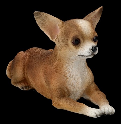 Cani figura chihuahua - figura,