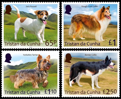 Tristan cunha 2025 cani - tristan, da