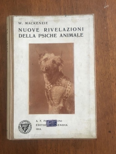 Cani cavalli nuove rivelazioni - cavalli,