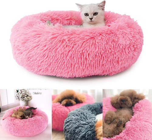 Letto molle dell - letto, dell'animale