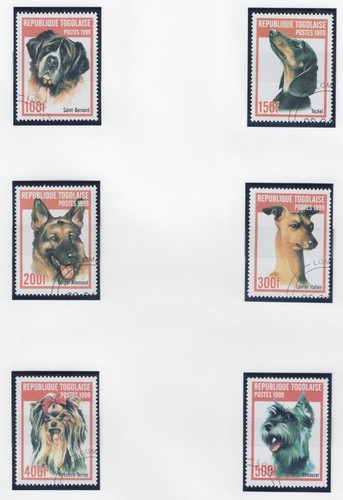Togo 1999 fauna animale - fauna, cani
